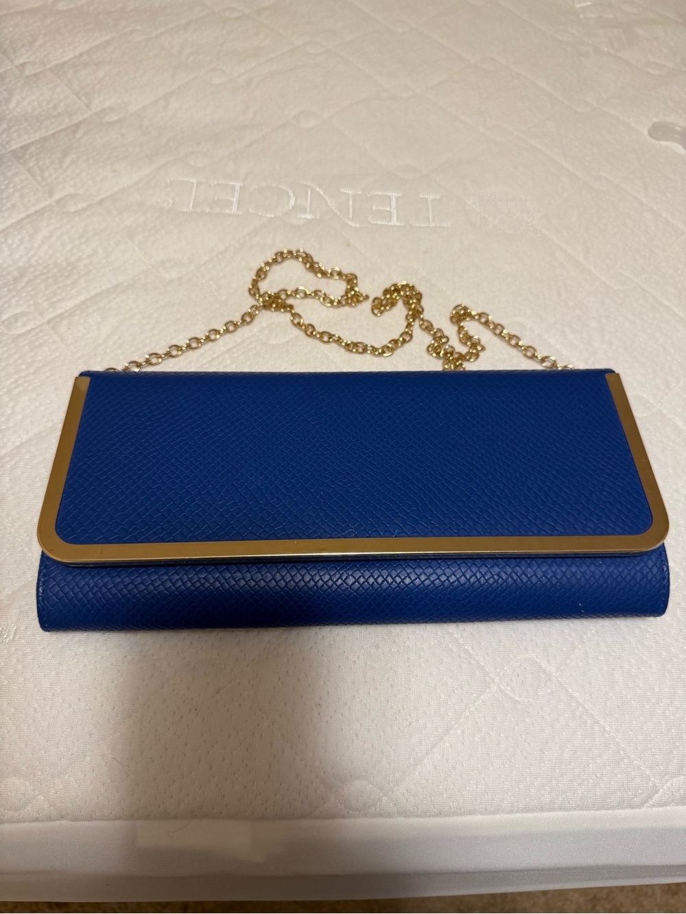 Aldo Blue Clutch with Gold Chain